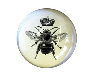 Briefbeschwerer Beetle I