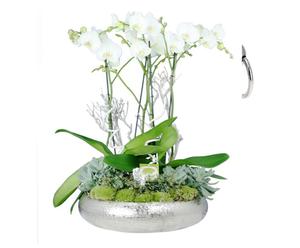 Blumengesteck Orchidee