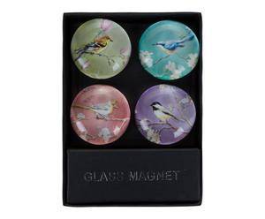 Glasmagnet-Set BIRDS, 4-tlg.