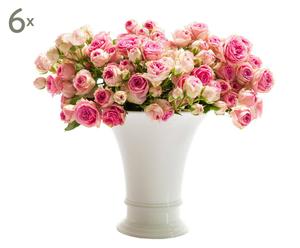 Gutschein Frische Blumen, 6 Lieferungen