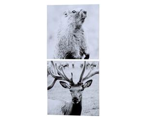 Wandbilder-Set Tierwelt, 2-tlg. 40 x 40 cm