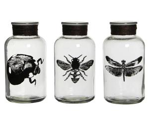 Deko-Gläser-Set Bug, 3-tlg., H 20 cm
