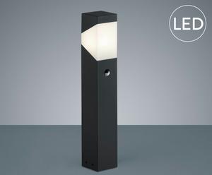 LED Sockelleuchte Spencer, anthrazit/weiß, H 50 cm