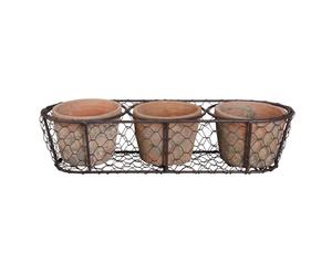 SET OF THREE TERRACOTTA POTS WITH BASKET