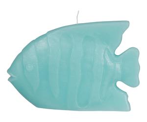 Bougie FISH paraffine, turquoise - L18