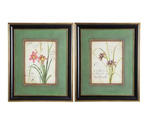 Set di 2 stampe con cornice in legno Iris - 60x50 cm