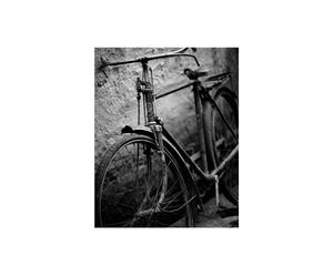Stampa su pannello Bicicleta india by Teo Tarras - 50x40 cm