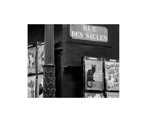 Stampa su pannello Rue des Saules by Teo Tarras - 40x50 cm