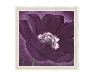 Stampa con cornice in legno Purple Passion - 30x30 cm