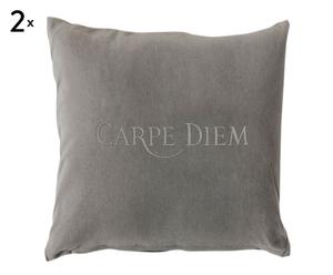coppia di cuscini in cotone carpe diem argento - 45x45 cm