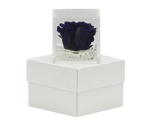 cubo con rosa stabilizzata profumata effetto acqua blu/bianco - 8x8x8 cm