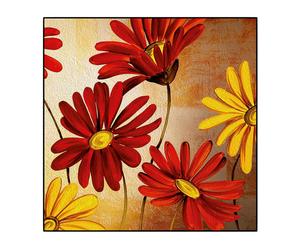Stampa su pannello in legno Colorful Daisy II - 70x70 cm