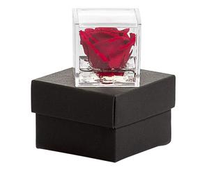 Cubo in plexiglass con rosa stabilizzata effetto acqua rosso/nero - 5x5x5 cm