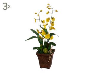 Set di 3 orchidee in vaso giallo - 59x45x52 cm