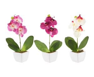 set di 3 orchidee in vaso assortite - cad. 22x22x29 cm