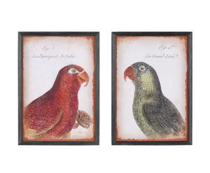 Set di stampe in legno Parrots - 66X93 cm