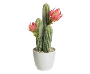 Decoratieve cactus in sierpot Selma, multicolour, H 33 cm