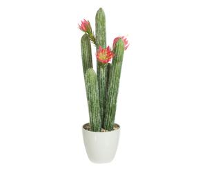 Decoratieve cactus in sierpot Ramon, multicolour, H 58 cm