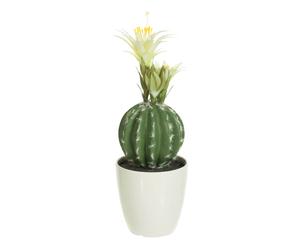 Decoratieve cactus in sierpot Pepe, multicolour, H 36 cm