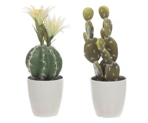 Set van 2 decoratieve cactussen in sierpot Nol, multicolour