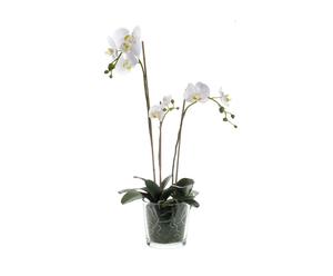 Zijden bloem Orchidee, wit, H 70 cm
