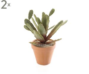 Set van 2 kunstplanten Zygocactus, groen/bruin, diameter 24 cm