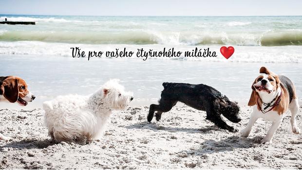 We ♥ dogs!
