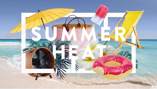 Sommer Pre Buy