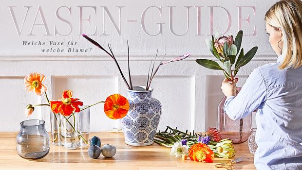 Der Vasen-Guide