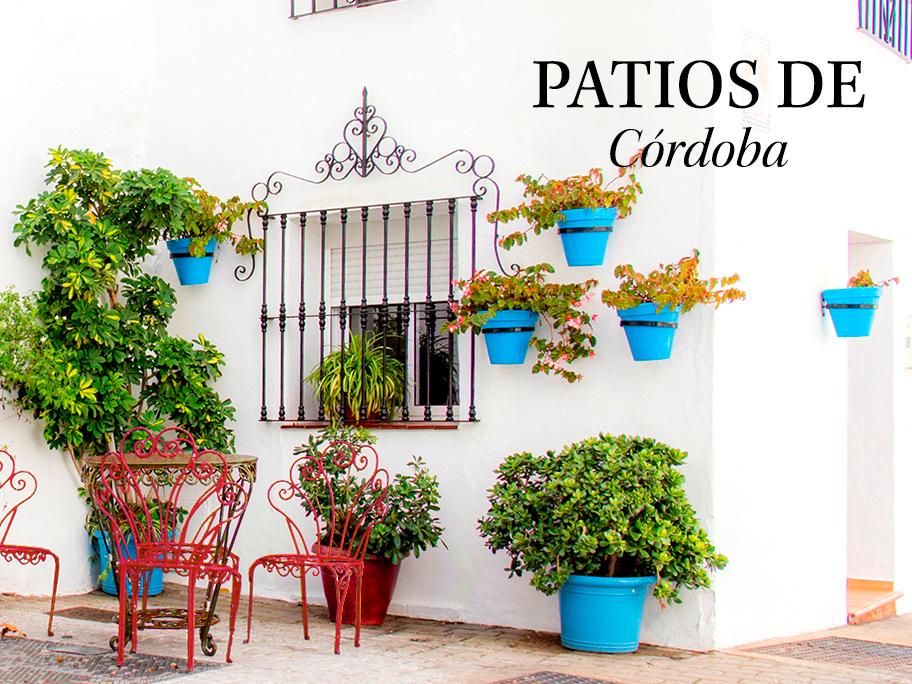 La magia de los patios de Córdoba 