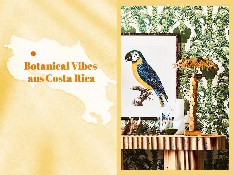Costa Rica, un vent d'exotisme