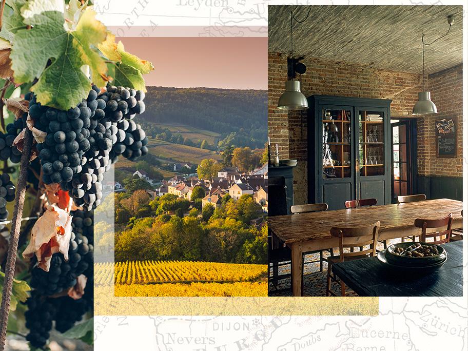 Bourgogne, au cœur des vignes