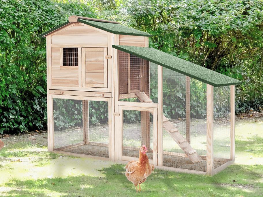 Gaston et Hortense Poulaillers, niches, enclos, hamacs  Westwing