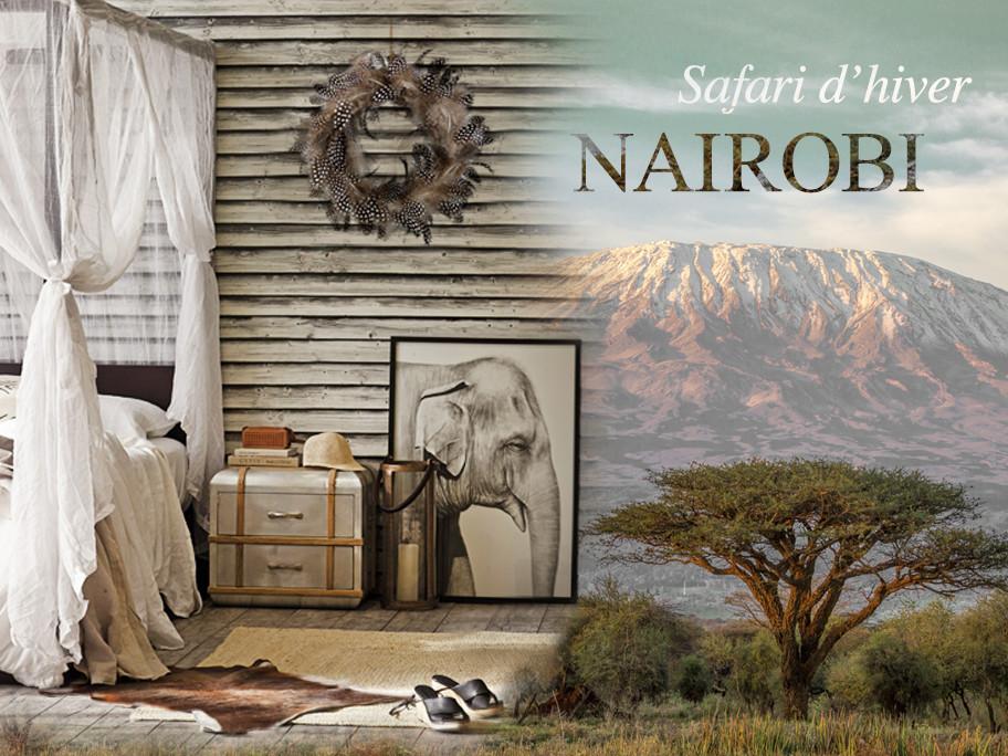 Safari d'hiver à Nairobi