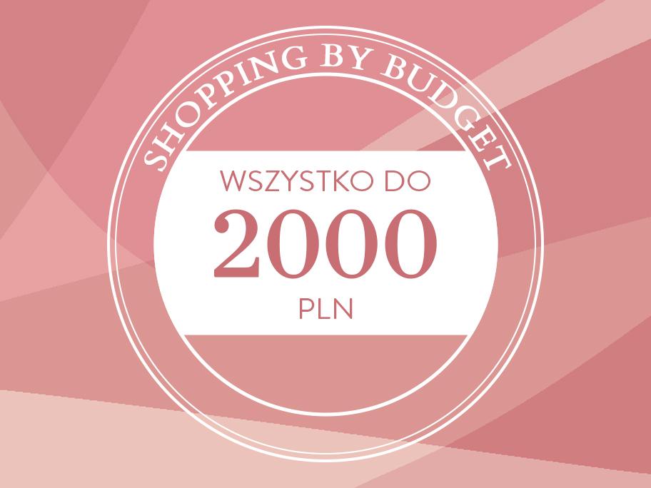 Budżet: 500-2000 zł