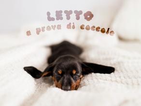 Letto Pet Proof