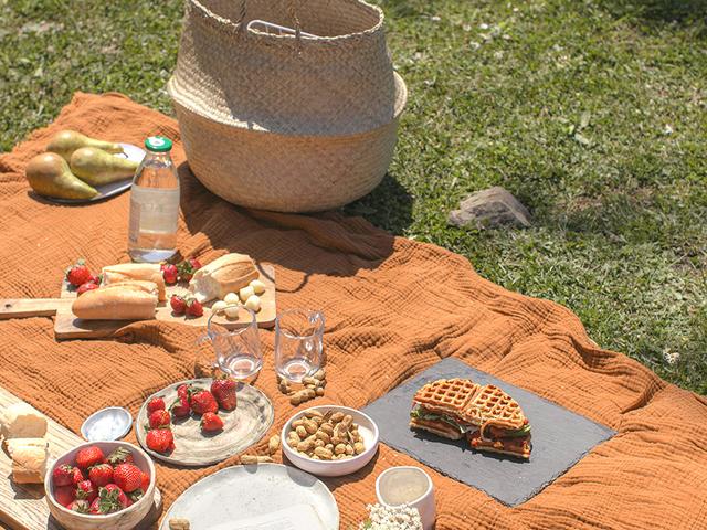 Čas na piknik!