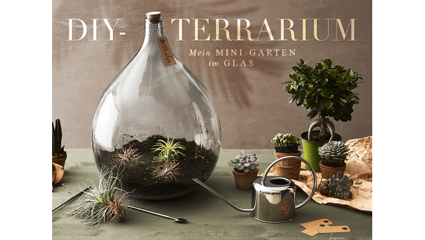 Mein Mini Garten Im Glas Das Coole Diy Terrarium Set Westwing