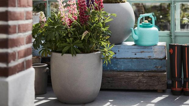 Capi Europe Coole Pflanztopfe Fur Drinnen Draussen Westwing