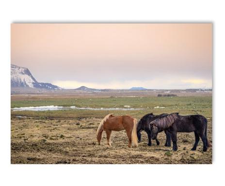 Mondo Natura Le Piu Belle Stampe Artistiche E Fotografie Westwing